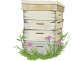 Цветочный горшок, пчелиный улей, трава, цветок, пчелиный улей png | PNGWing